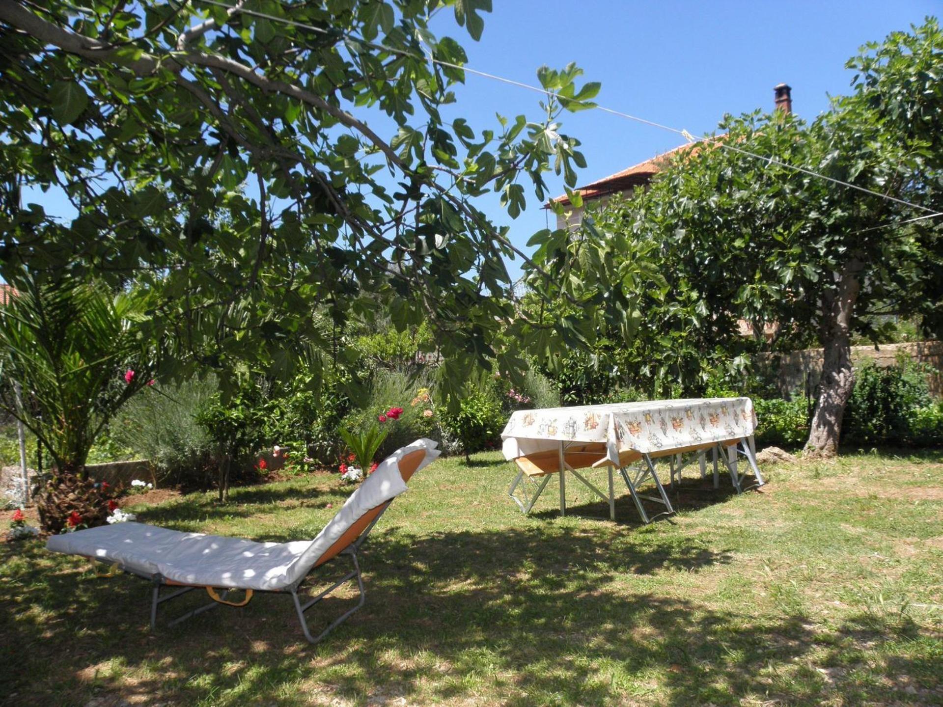 Apartments Zvone - 100 M From Sea Bibinje Εξωτερικό φωτογραφία